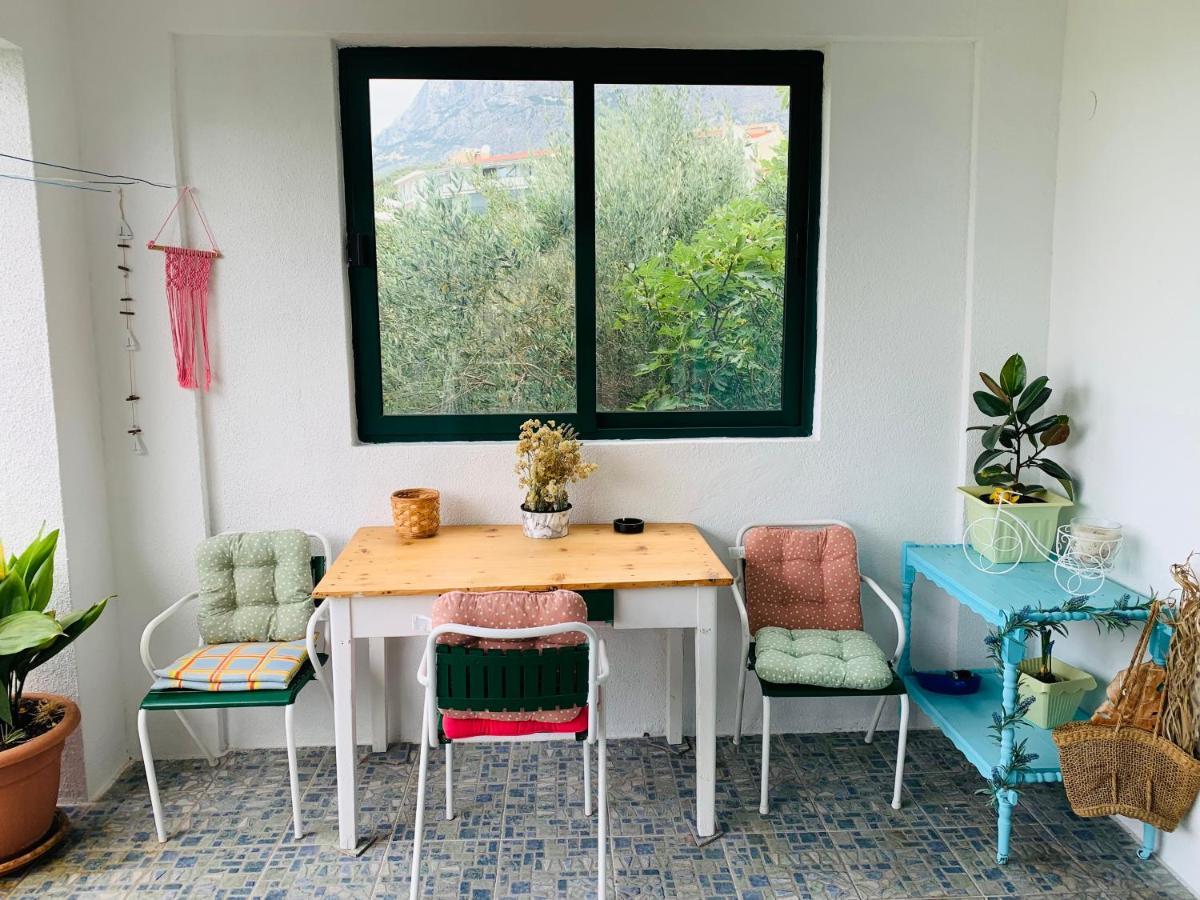 Eko Villa Moca Makarska Kültér fotó