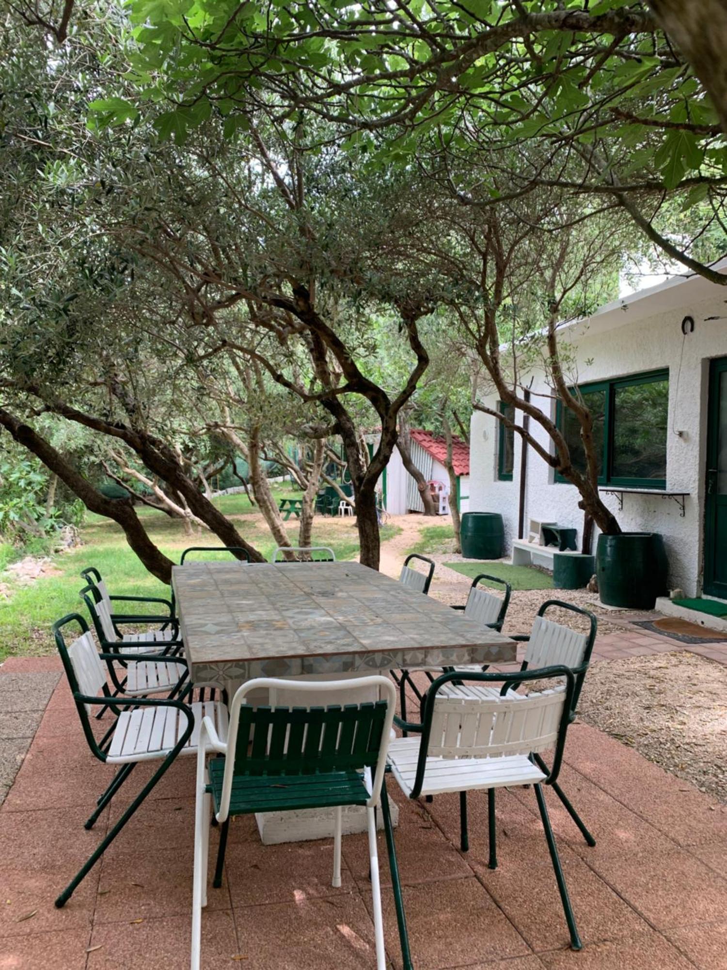 Eko Villa Moca Makarska Kültér fotó
